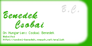 benedek csobai business card